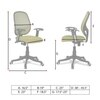 Goolda Low Back Ergonomic Chair in Pearl Green Colour
