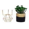 Artificial Succulent In Black & Gold Pot