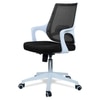 Xeanea Mid Back Ergonomic Chair in Black Colour