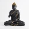 Devotional Blessing Buddha Statue in 15 Inch in Black and Gold Colour