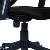 Aaeroa Low Back Ergonomic Chair in Black Colour