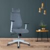 Ssilae High Back Ergonomic Chair in Grey Colour