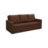 Akron 3 Seater Pull Out Sofa cum Bed  in Brown Colour