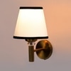 Devansh Metal Electric Wall Light in Gold Colour with Multi Shade Count of 1 Light