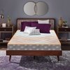 Health Spa Active Orthopedic High Resilience Foam Mattress (75 x 35 in, 10 Inches)