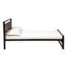 Palmer Metal King Size Non Storage Bed In Provincial Teak Finish