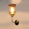 Devansh Metal Electric Wall Light in gold Colour with Lavender Shade Count of 1 Light
