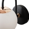 Eliante Modern Wall Lights Mild Steel, Glass & Glass Material Brown, Gold & White Finish