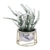 White Frosted Fern Planter