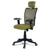 Jeaorda High Back Ergonomic Chair in Pearl Green Colour