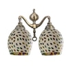 Devansh Metal Electric Wall Light in Multi Colour with Multi Shade Count of 2 Lights