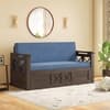 Bram 3 Seater Pull Out Sofa cum Bed In Danish Walnut Finish Baltic Blue Colour