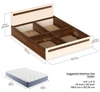 BLUEWUD Maltein Engineered Wood Double Bed, Queen Size Bed with Storage Box for Bedroom Home Furniture (Brown Maple & Beige)