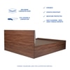 Sutra Engineered Wood Queen  Size Bed With Box Storage (Walnut Finish)