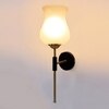 Devansh Metal Electric Wall Light in Black Colour with White Shade Count of 1 Light