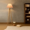 Devansh Tripod Floor Lamp