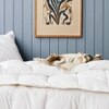 Luxe Duck Down Duvet Cool 250 X 275 cm