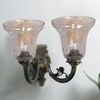 Devansh Metal Electric Wall Light in Antique gold Colour with Transparent Shade Count of 2 Lights