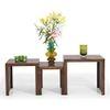 Hamilton Solid Wood Side Table Set of 3 in Teak Finish