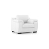 Trissino 1 Seater Premium Italian Leather Sofa In Polaris Colour