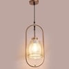 Eliante Hanging Light Smoky Black Mild Steel With Glass Shade, 1-Light Pendant Lamp