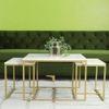 Stendal Nesting Coffee Table Set Of 3 Marble Square