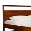 Turner Solid Wood Queen  Size Bed Without Storage (Dark Oak Finish)