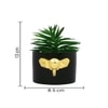 Black Majestic Elephant Planter