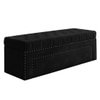 Edin Velvet 2 Seater Upholstered Bench with Storage Black Colour