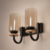 Eliante Modern Wall Lights Mild Steel, Wood, Glass & Glass Material Brown, Gold & Golden Finish
