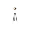 Asher Without Star Floor Lamp Black