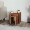 Oakland Sheesham Wood Contemporary Set Of 3 Nesting Tables In Natural Teak Finish