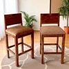 Osian Sheesham Wood Set of 2 Bar Chairs (Caramel Brown Sparkle Velvet Teak Finish)