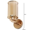 Eliante Modern Wall Lights Mild Steel & Glass Material Gold & Champaign Finish