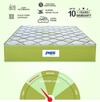 Peps Springkoil Ortho Luxe 10 Inch Pocket Spring Latex Foam Mattress Double 72x48