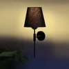 Devansh Metal Electric Wall Light in Black Colour with Black Shade Count of 1 Light