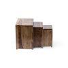 Oakland Nested Stool Set of 3
