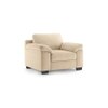 Esquel Premium 1 Seater Fabric Sofa in Birch Beige Colour