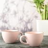 Pink Soma Espresso Cup Collection