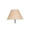 Evana Beige Natural Fiber Floor Lamp with Black Iron Base