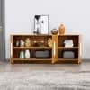 Hexa Red Multipurpose Storage Cabinet With 3 Door in Giant Wood Colour