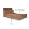 Vienta Engineered Wood Queen  Size Bed With Box Storage (Brentwood Oak Brown Finish)