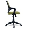 Ddeasirea Mid Back Ergonomic Chair in Pearl Green Colour