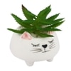 Whisker Cat Ceramic Planter