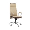 Ettorez Lexus Hb Ultra Premium Leatherette Office Chair In Beige And Mocha Colour