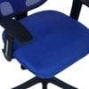 Goolda Low Back Ergonomic Chair in Blue Colour