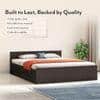 Sadie Queen Size Box Storage Bed In Dark Wenge Finish