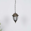 Garrett Gold And Black Outdoor Hanging Light