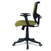 Peacifice Mid Back Ergonomic Chair in Pearl Green Colour