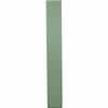 Scandinavian Tristan High Rack Green Matte Finish